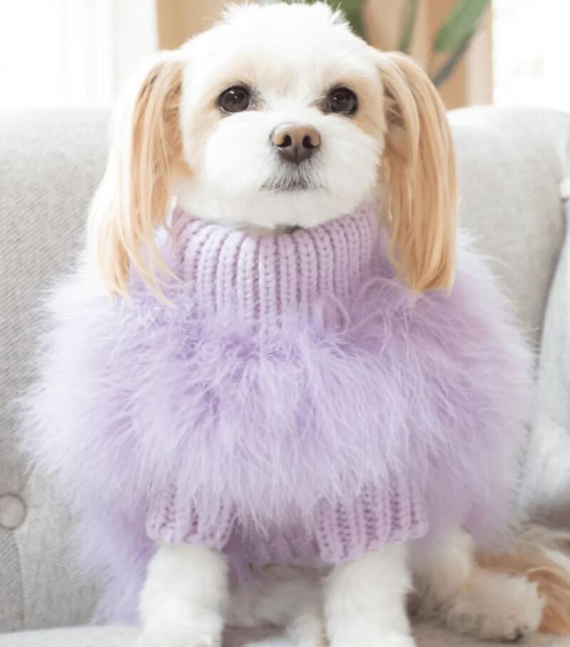 9 suéteres adorables para tu perro en esta temporada de frío