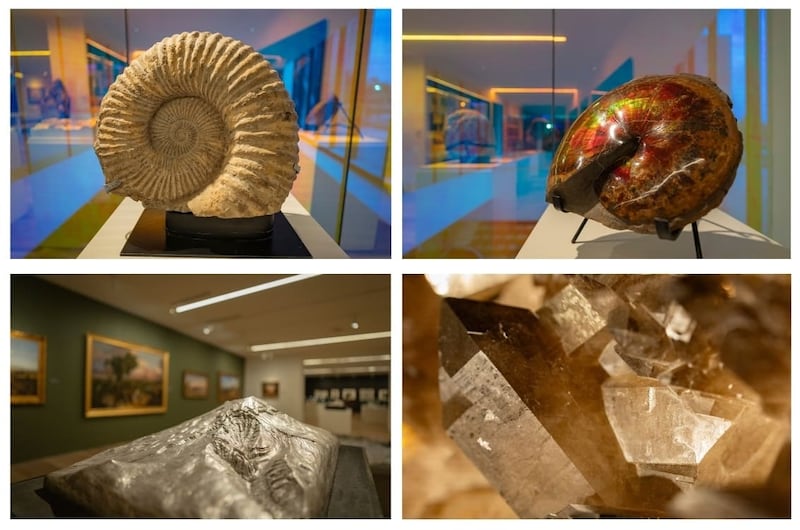 Gabinete de Curiosidades de Ricardo y Maria Laura Salinas, colección de fósiles e historia natural