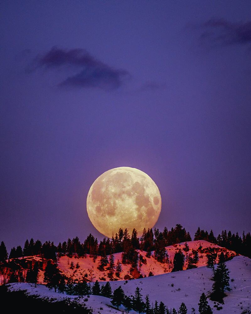 Luna de Nieve