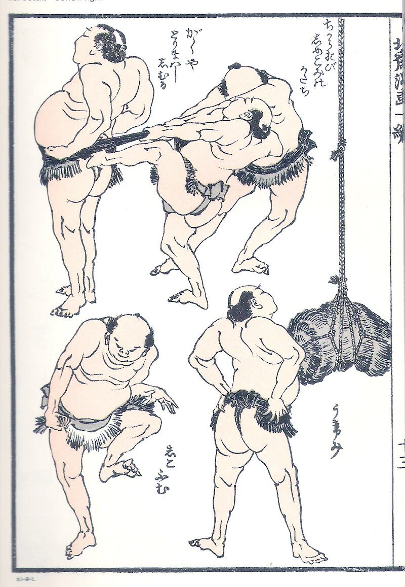Hokusai Manga