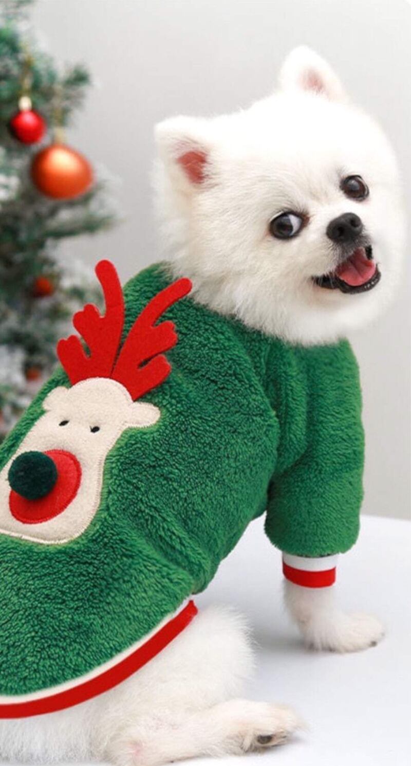 9 suéteres adorables para tu perro en esta temporada de frío