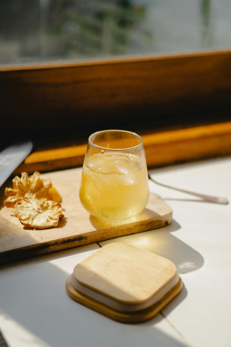 kombucha alternativa de bebida sin alcohol