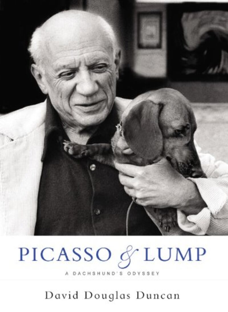 Portada del libro de David Douglas Lump, Picasso y Lump