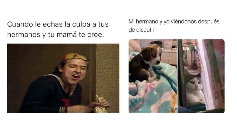 memes-hermanos