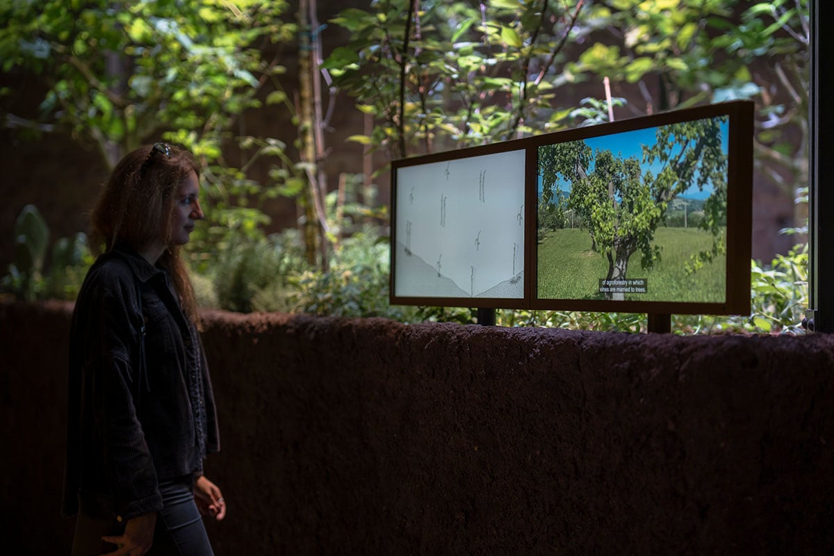 Chinampa Veneta en La Biennale di Venezia