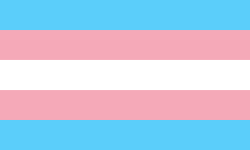 Bandera trans. Representa a las personas en transición. Sus colores simbolizan bebés varones (azul pastel), bebés mujeres (rosa pastel) y transición (blanco).