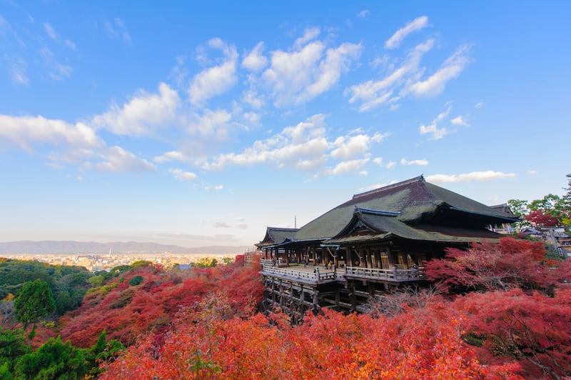 Japón rompe record de turistas: qué ciudades visitar si también quieres ir