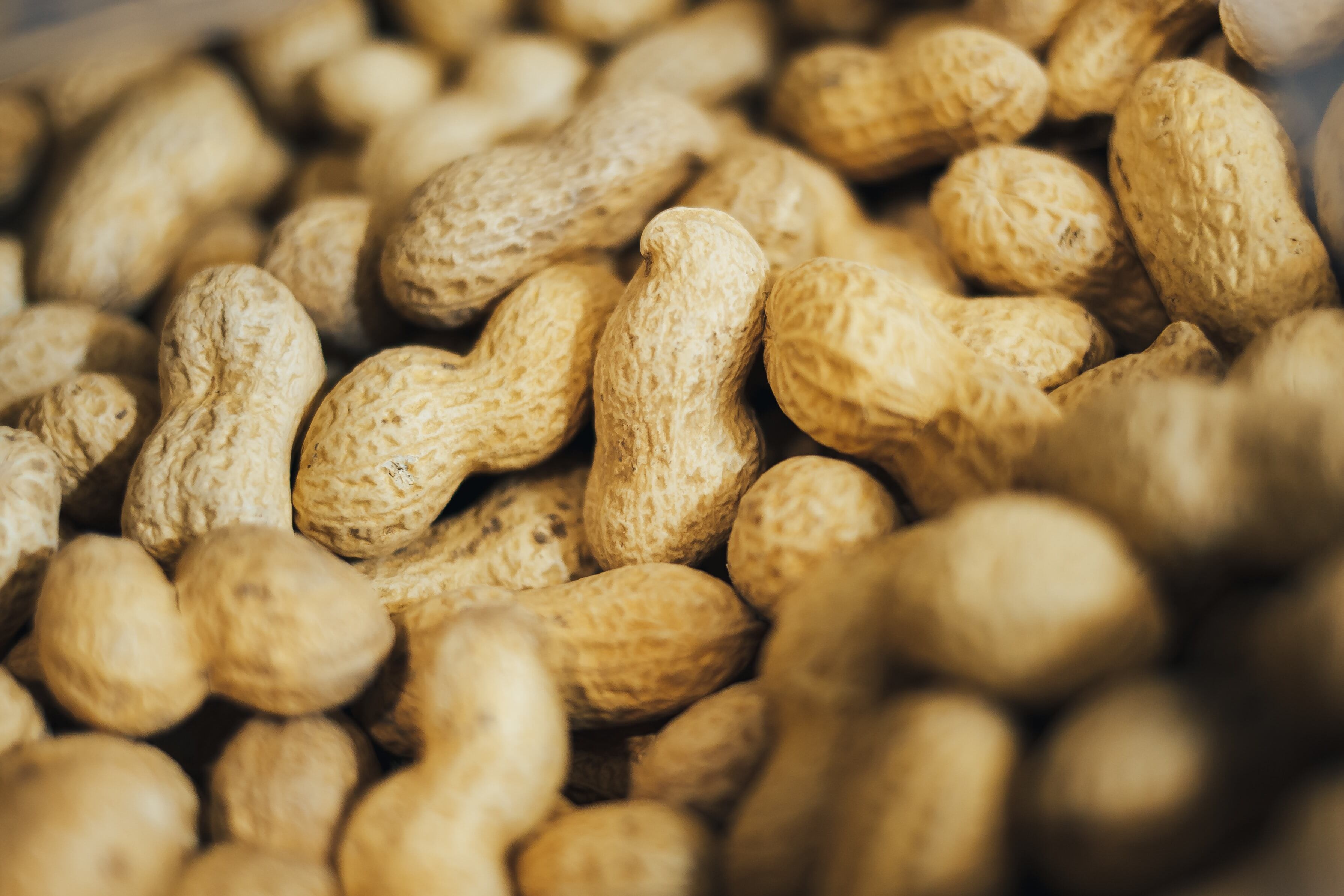 Proteína vegetal: De acuerdo con Mafer, el cacahuate es una leguminosa por la manera en que se cultiva y es una gran fuente de proteína vegetal.