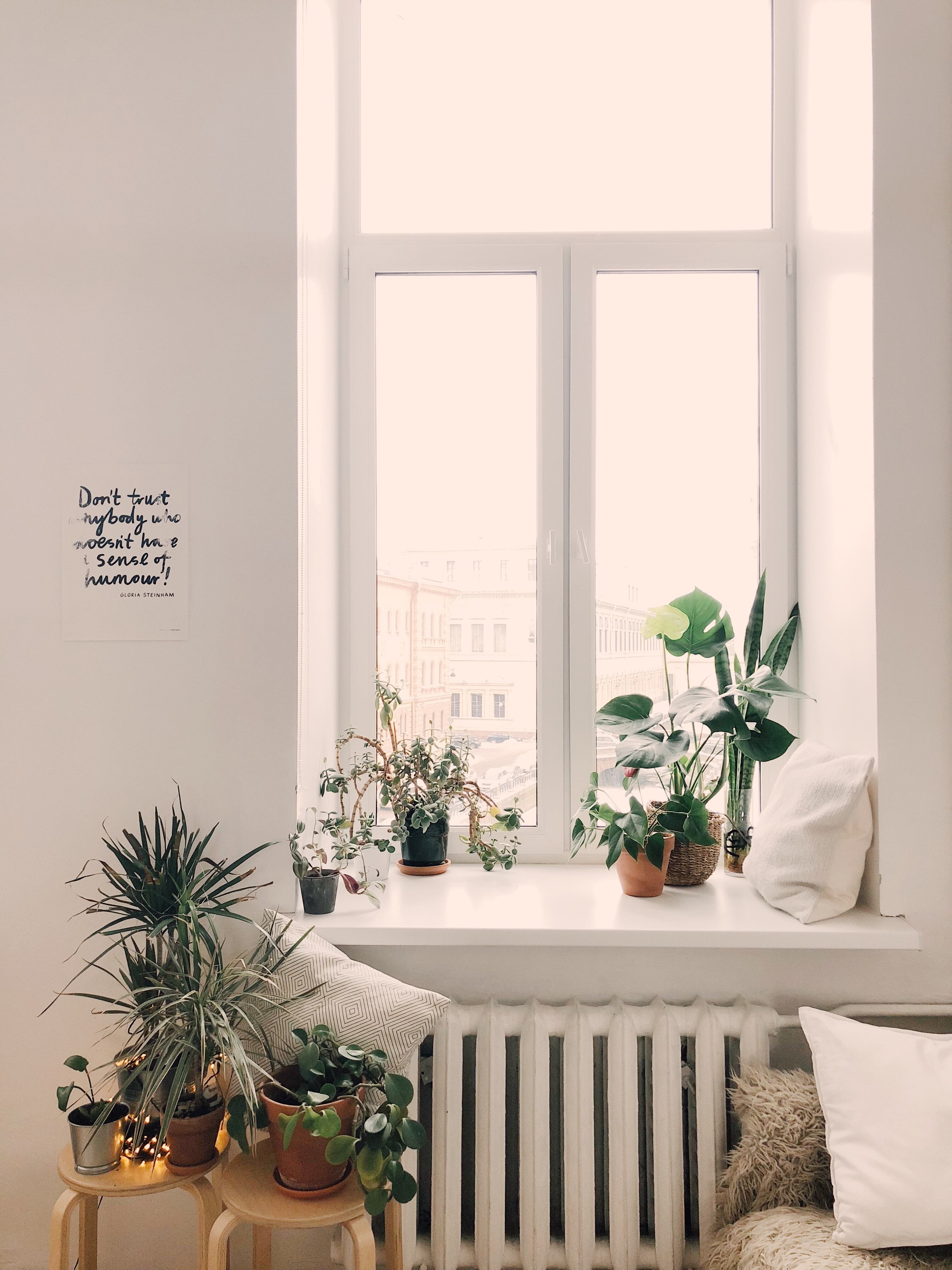 Existen 3 plantas que ayudan a purificar el aire de la polución y que además lucen hermosas en el hogar. ¡Descúbrelas!