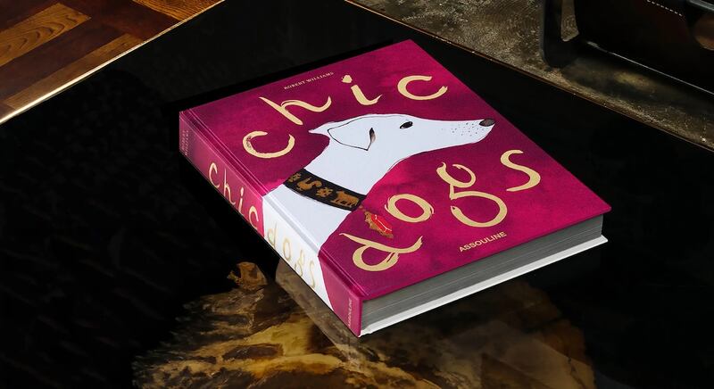 chic dogs assouline libros para coleccionar o regalar