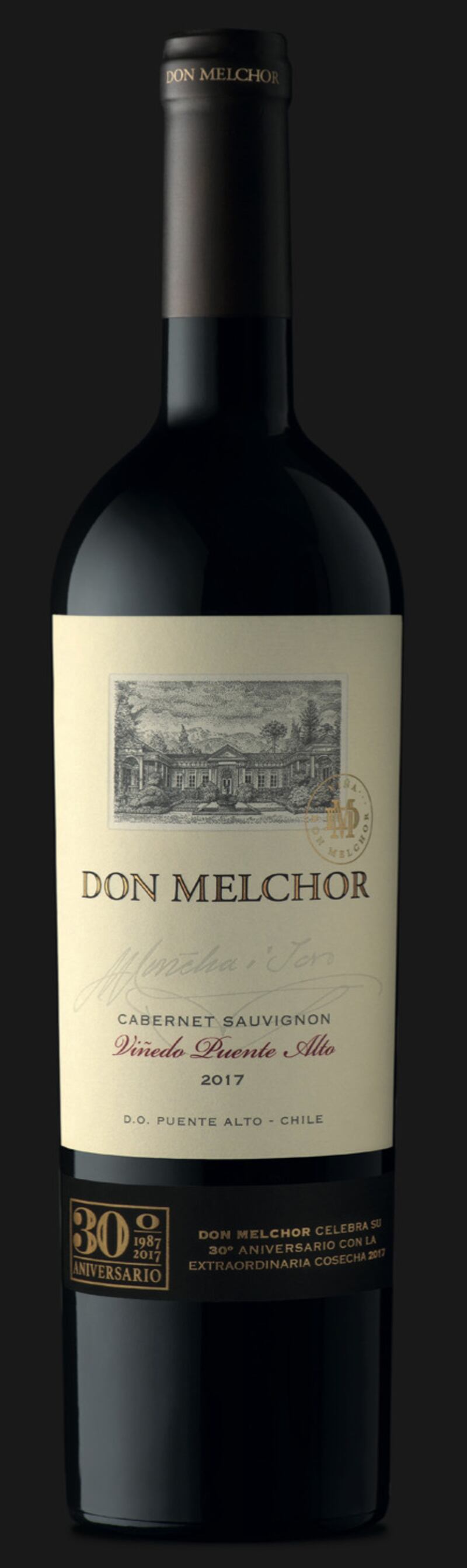 botella vino don melchor