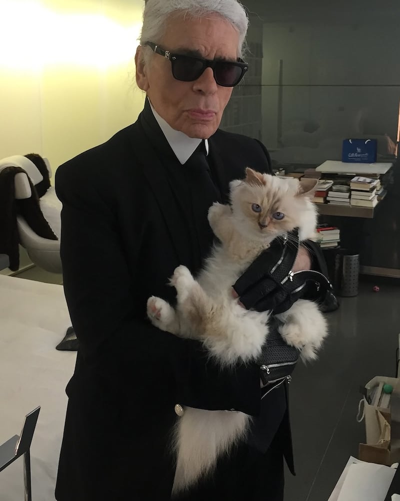 cuando entregam la herencia del gato de karl lagerfeld