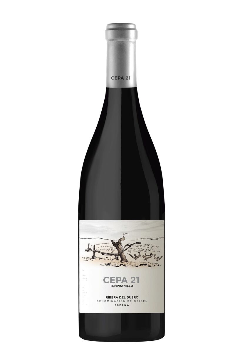 vino cepa 21