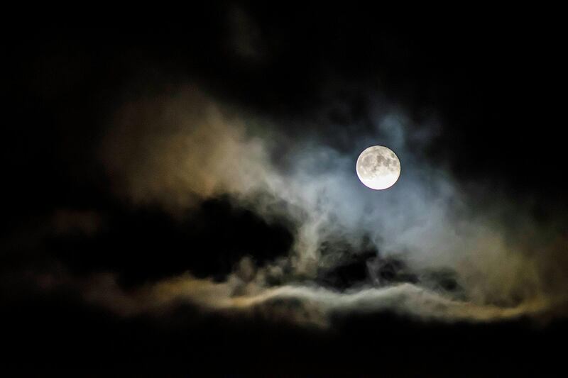 luna-de-flores