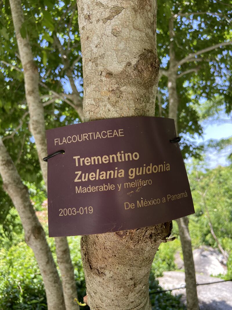 Jardin-botanico-acapulco.jpg