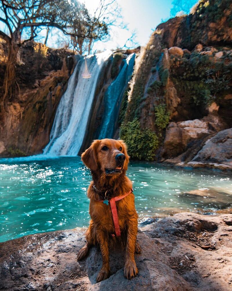 Chiquilistlán, el pueblo rodeado de agua donde te espera la aventura