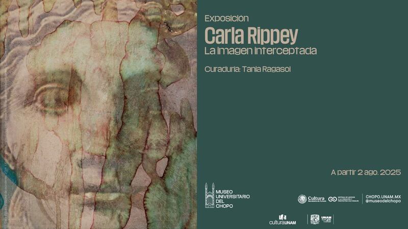carla rippey exposicion