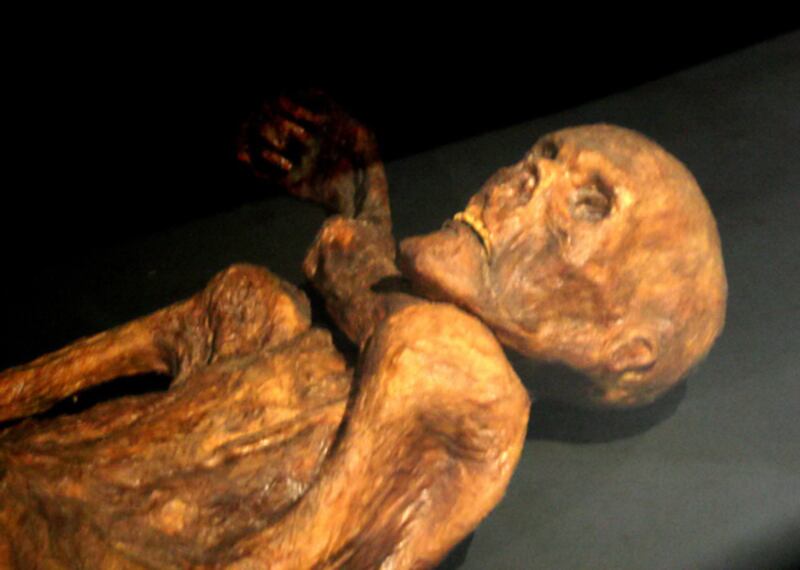 ¿Momias de hielo?: descubrimientos de formas de vida bajo heladas temperaturas