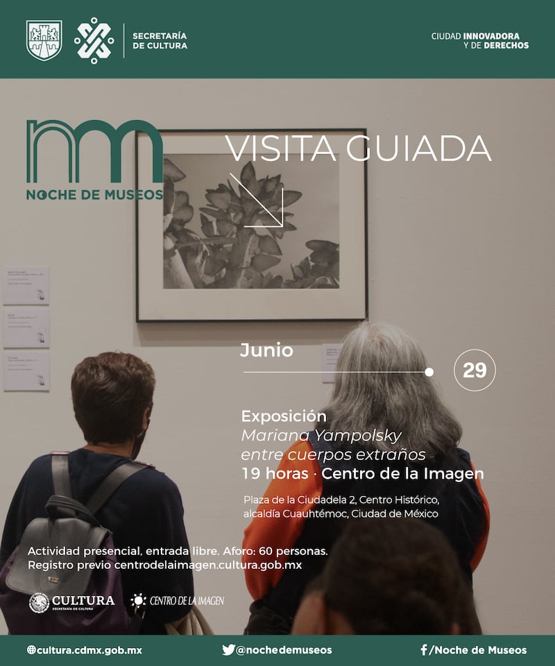noche de museos junio 2022 centro de la imagen